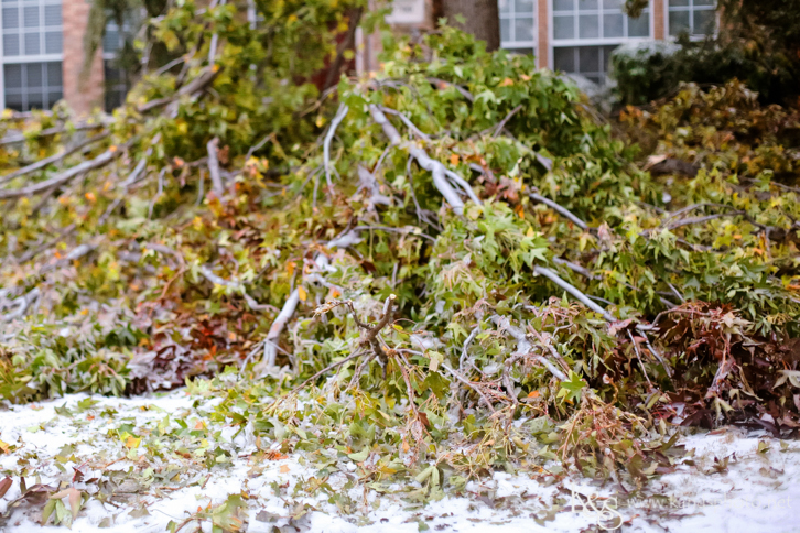 Dallas Wedding Photographers - K & S Photography